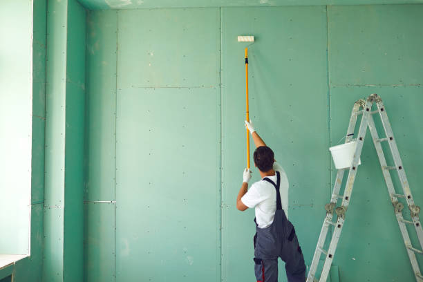 Reliable Perry Heights, OH Mold Removal Solutions