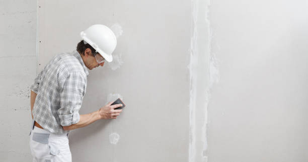 Best Basement Mold Removal  in Perry Heights, OH