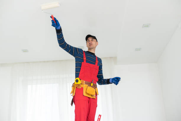 Best Commercial Mold Inspection  in Perry Heights, OH