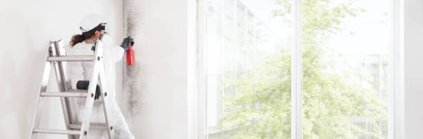 Best Comprehensive Air Testing for Mold Contaminants  in Perry Heights, OH